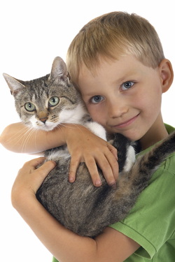 Boy with spayed cat